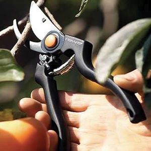 Bild von Gartenschere Pro FISKARS GARTENSC HERE PRO      111960