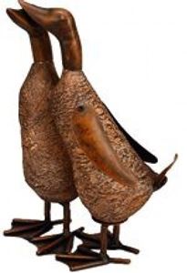 Bild von Entenpaar Le CanardENTENPAAR STEHEN D   LE CANARD 123421