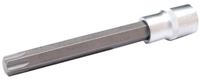 Bild von Bit-Einsatz 1/2, T-Profil, T 60x140 mm