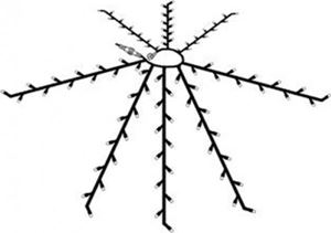 Bild von SonnenschirmbeleuchtungSCHIRMBELEUCHT LED SYST24 491-70-80