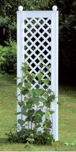 Bild von SpalierSPALIER M.ERDSPI ESS WEISS 43CM 37801