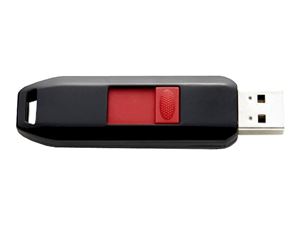 Immagine di USB FlashDrive 8GB Intenso Business Line Blister schwarz/rot