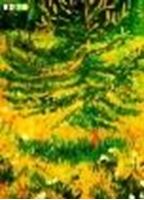 Afbeelding van Franz Marc - Lärchenbäumchen  i83391 80x110cm exquisites Ölgemälde