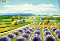 Εικόνα της Lavendelfeld in der Toskana d88090 60x90cm fantastisches Ölbild handgemalt
