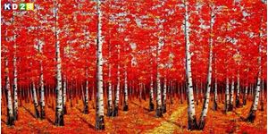 Εικόνα της Modern Art - Birkenhain im Herbst f88137 60x120cm exzellentes Ölbild handgemalt