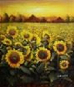 Εικόνα της Sonnenblumenfeld in der Toskana c88855 50x60cm Ölgemälde handgemalt