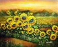 Resim Sonnenblumenfeld in der Toskana c88859 50x60cm Ölgemälde handgemalt