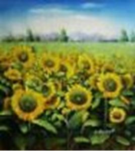 Εικόνα της Sonnenblumenfeld in der Toskana c88863 50x60cm Ölgemälde handgemalt