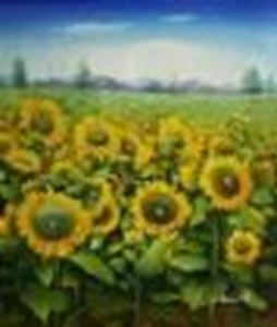 Immagine di Sonnenblumenfeld in der Toskana c88869 50x60cm Ölgemälde handgemalt