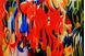 Afbeelding van Franz Marc - Abstrakte Formen d88628 60x90cm exquisites Ölgemälde
