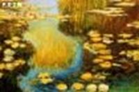 Resim Claude Monet - Seerosen im Sommer d88651 60x90cm exquisites Ölbild
