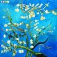 Изображение Vincent van Gogh - Äste mit Mandelblüten m89193 120x120cm Ölbild handgemalt