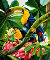 Imagen de Tukan Serie - Riesentukane im Regenwald c89389 50x60cm großartiges Ölgemälde