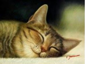 Εικόνα της Modern Art - Gesicht einer träumenden Katze a90478 30x40cm brilliantes Ölbild