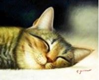 Εικόνα της Modern Art - Gesicht einer träumenden Katze b90507 40x50cm brilliantes Ölbild