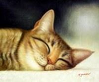 Εικόνα της Modern Art - Gesicht einer träumenden Katze c90540 50x60cm brilliantes Ölbild