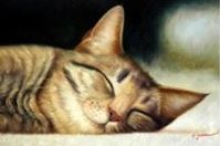 Εικόνα της Modern Art - Gesicht einer träumenden Katze d90599 60x90cm brilliantes Ölbild