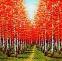 Εικόνα της Modern Art - Birkenhain im Herbst g90683 80x80cm exzellentes Ölbild handgemalt
