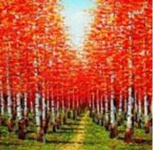 Εικόνα της Modern Art - Birkenhain im Herbst g90683 80x80cm exzellentes Ölbild handgemalt