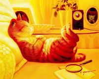 Εικόνα της Modern Art - The chilling cat b91594 40x50cm putziges Ölgemälde handgemalt