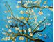 Изображение Vincent van Gogh - Äste mit Mandelblüten b91601 40x50cm Ölbild handgemalt
