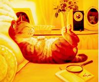 Εικόνα της Modern Art - The chilling cat c91644 50x60cm putziges Ölgemälde handgemalt
