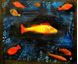 Picture of Paul Klee - Der Goldfisch c91665 50x60cm handgemaltes Ölgemälde 