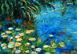 Afbeelding van Claude Monet - Seerosen und Schilf d91980 60x90cm Ölgemälde handgemalt