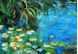 Afbeelding van Claude Monet - Seerosen und Schilf d91981 60x90cm Ölgemälde handgemalt