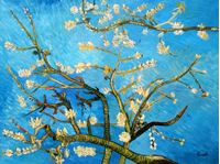 Obrazek Vincent van Gogh - Äste mit Mandelblüten k91904 90x120cm Ölbild handgemalt