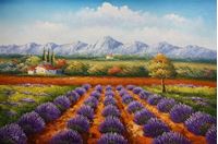 Εικόνα της Lavendelfeld in der Toskana d92268 60x90cm fantastisches Ölbild handgemalt