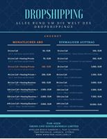 Image de Dropshipping 03