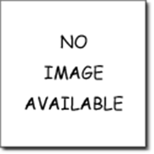 Picture of Gastro SUS Bratpfanne "Industar" 28 cm Edelstahl